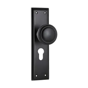 6450E Door Knob Milton Euro Pair Matte Black H200xW50xP73mm