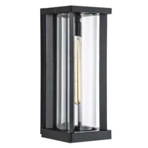 Daniella Metal and Glass Outdoor Wall Light