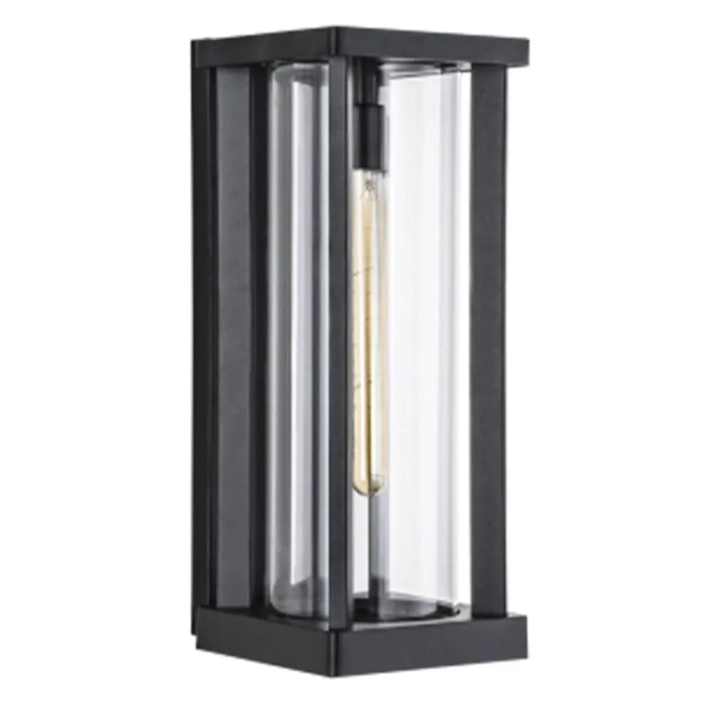 Daniella Metal and Glass Outdoor Wall Light