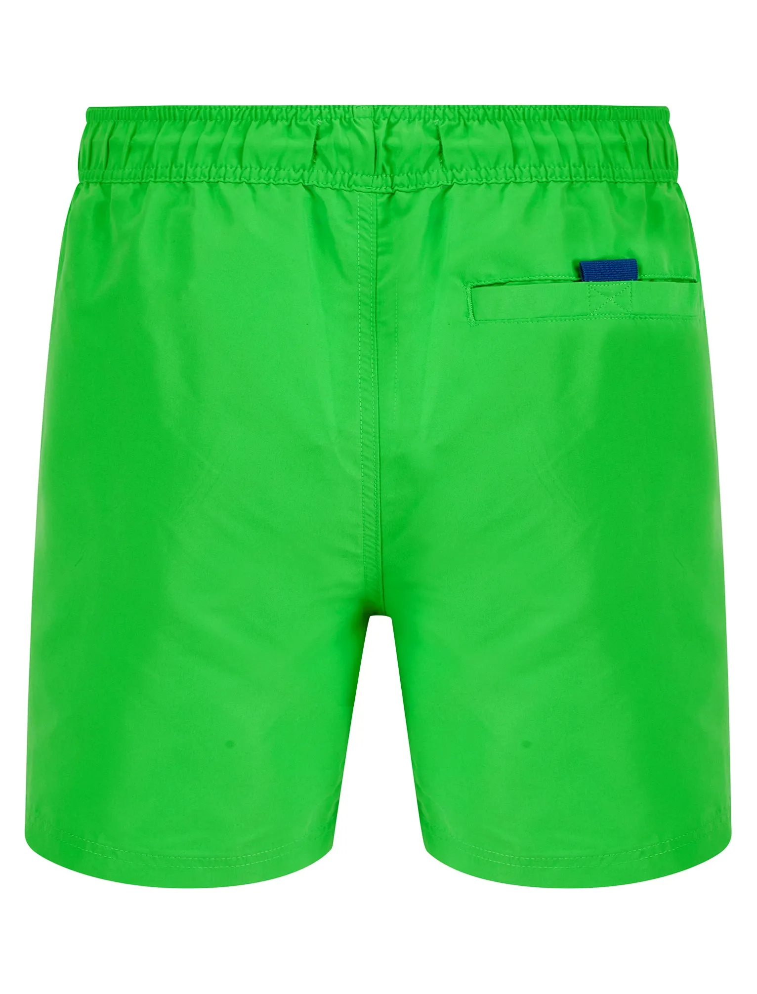 Namaste 3 Classic Swim Shorts in Poison Green - Tokyo Laundry
